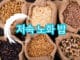 노년내과 의사 정희원의 느리게 나이 드는 식사법 health825