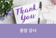 몽땅 감사