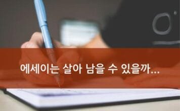 Essay906_1