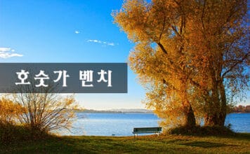 호숫가 벤치 lake_bench