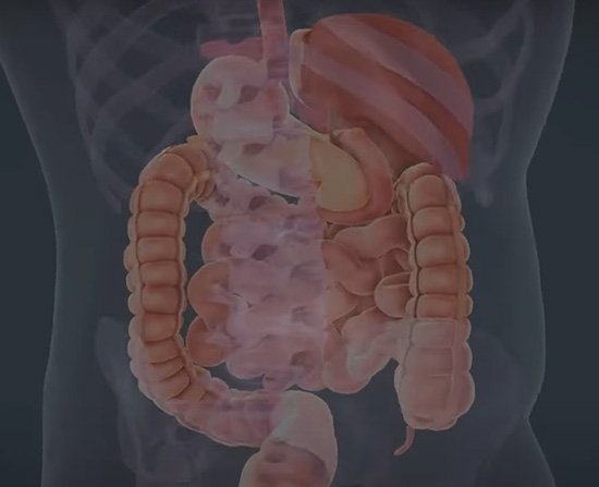 health0131