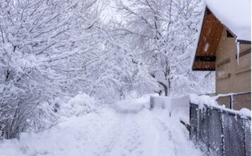 Snow_LocalNews0131