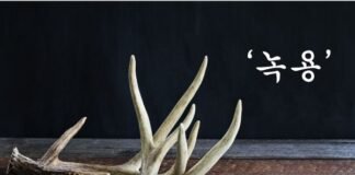 밴쿠버의 긴 겨울, 우리 몸을 깨우는’녹용’의 재발견 (2)