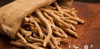 밴쿠버의 긴 겨울, 우리 몸을 깨우는 ‘녹용’의 재발견 (1)