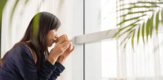 아침 폰 대신 ‘아날로그’ 한 페이지, 뇌를 깨우는 우아한 습관