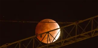 3월 3일 새벽 ‘블러드 문’이 온다… 올해 유일한 개기월식 관측하려면?